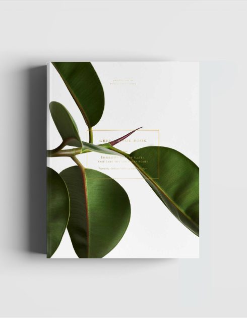 Susanna Vento & Riikka Kantinkoski Buch - Green Home Book