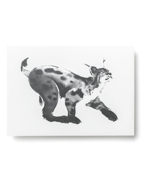 Lynx-Postcard-Teemu-Järvi-Illustrations