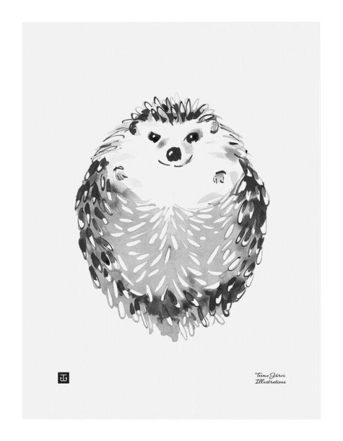 Teemu Järvi Postkarte - Hedgehog